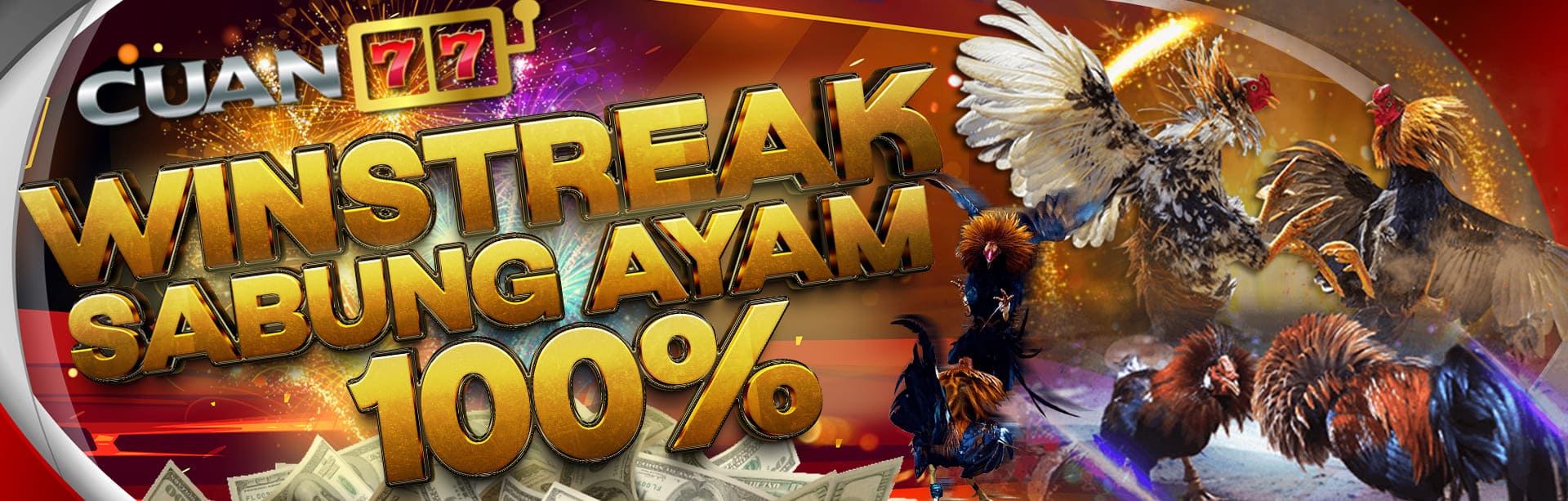 WINSTREAK SABUNG AYAM