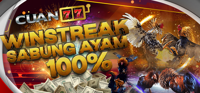 WINSTREAK SABUNG AYAM